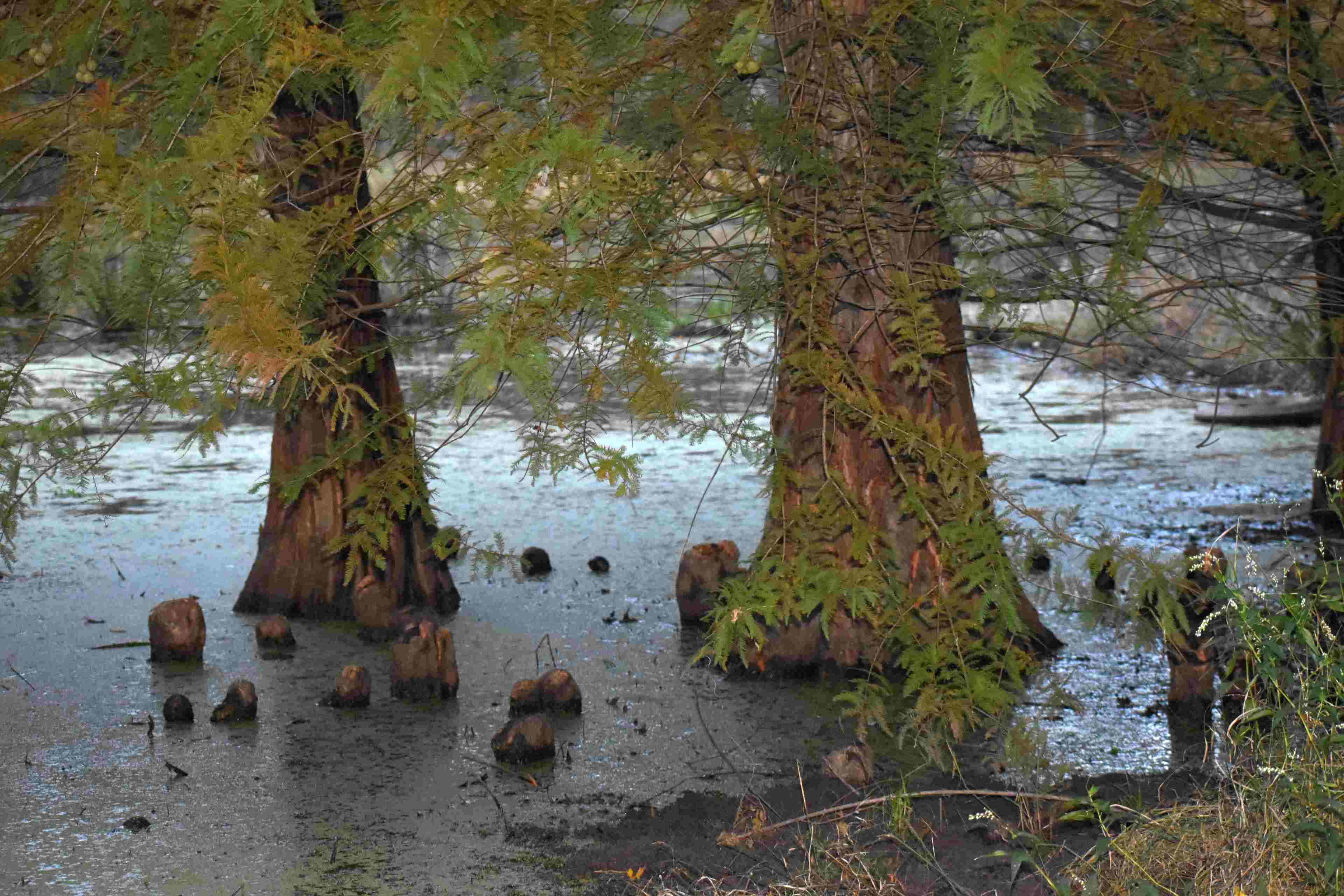 Duane-Loveland_Brecks-Mil-on-Brandywine